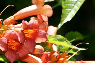 natuur awareness en leiderschap